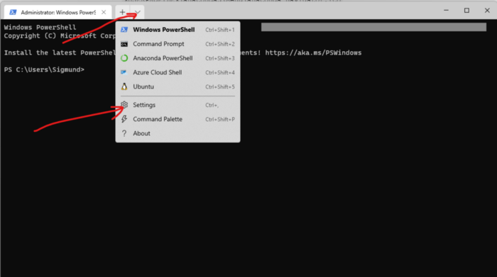 Fig.3. Go to setting of the Windows Terminal